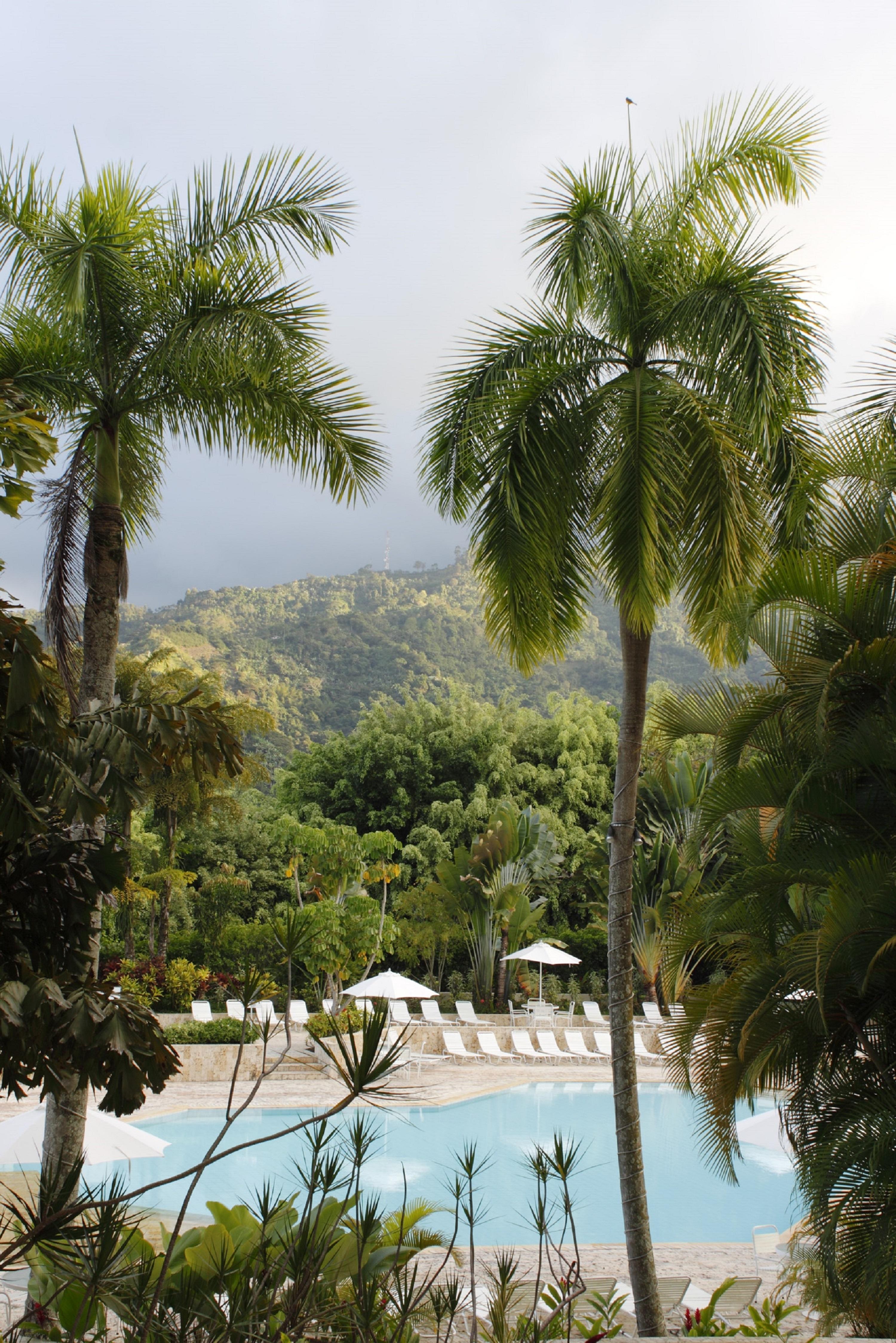 Hotel Estelar Altamira Ibagué Exteriör bild Tropical rainforest in Hawaii